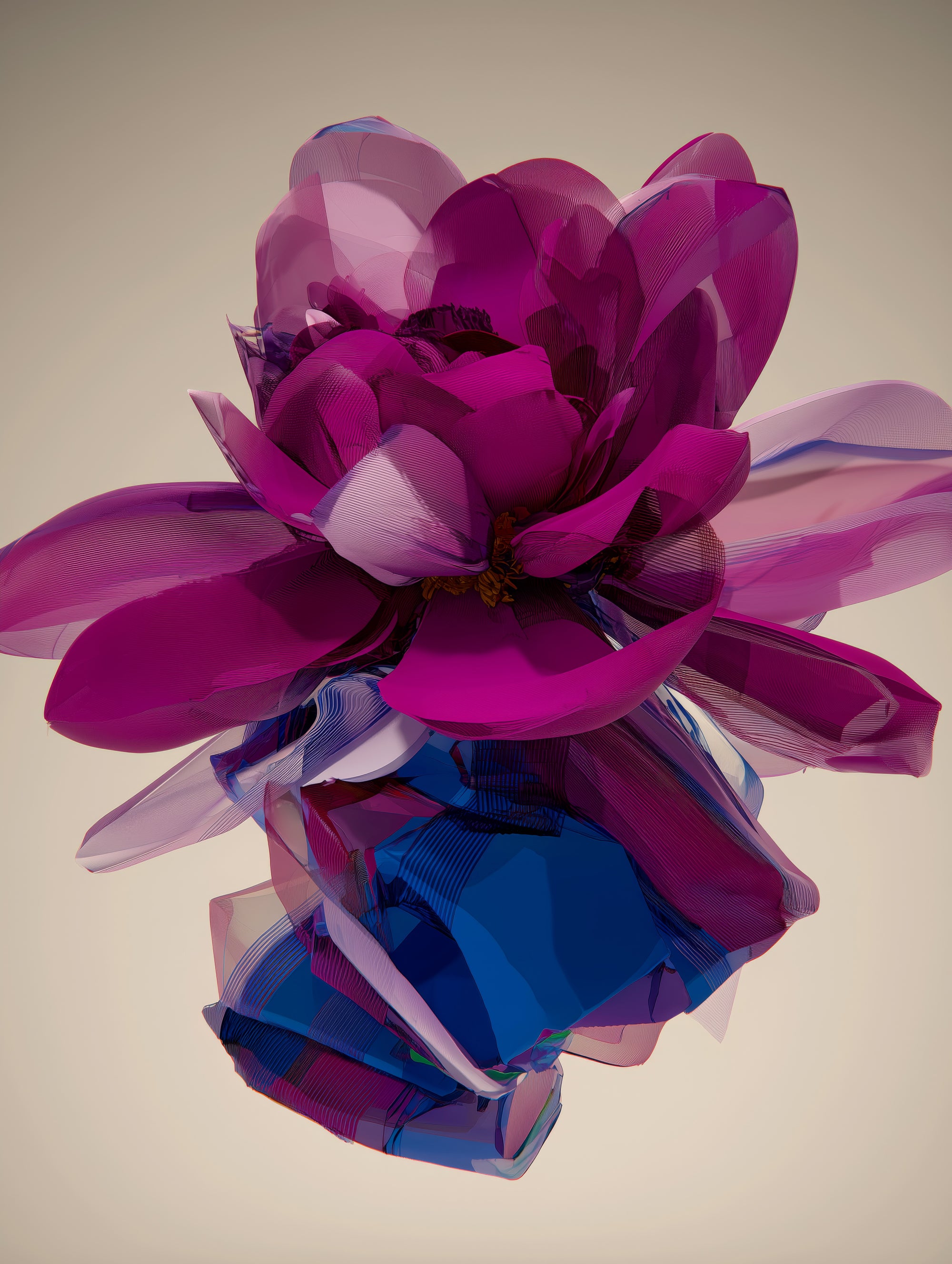 Collection Image